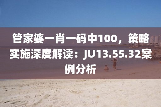 管家婆一肖一码中100，策略实施深度解读：JU13.55.32案例分析