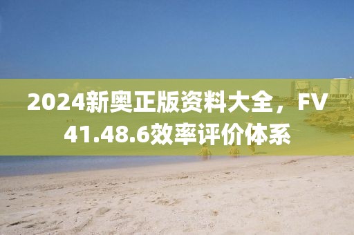 2024新奥正版资料大全，FV41.48.6效率评价体系
