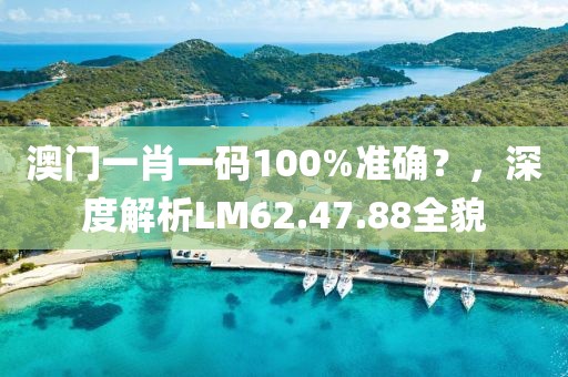 澳门一肖一码100%准确？，深度解析LM62.47.88全貌