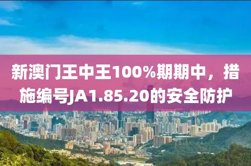 新澳门王中王100%期期中，措施编号JA1.85.20的安全防护