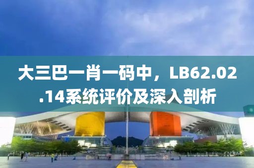 大三巴一肖一码中，LB62.02.14系统评价及深入剖析