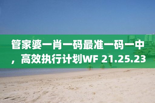 管家婆一肖一码最准一码一中，高效执行计划WF 21.25.23