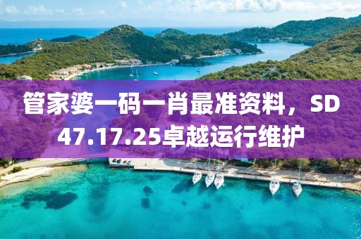 管家婆一码一肖最准资料，SD47.17.25卓越运行维护