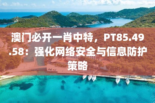 澳门必开一肖中特，PT85.49.58：强化网络安全与信息防护策略