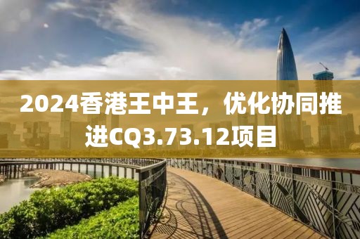 2024香港王中王，优化协同推进CQ3.73.12项目