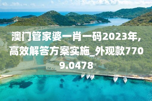 澳门管家婆一肖一码2023年,高效解答方案实施_外观款7709.0478