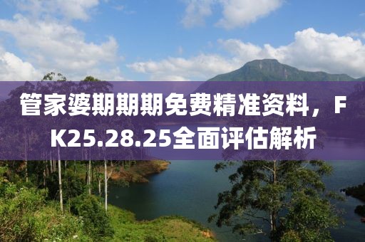 管家婆期期期免费精准资料，FK25.28.25全面评估解析