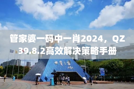 管家婆一码中一肖2024，QZ39.8.2高效解决策略手册