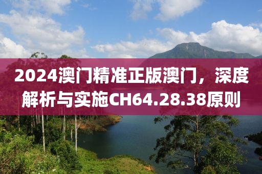2024澳门精准正版澳门，深度解析与实施CH64.28.38原则