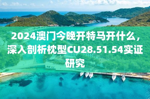 2024澳门今晚开特马开什么，深入剖析枕型CU28.51.54实证研究