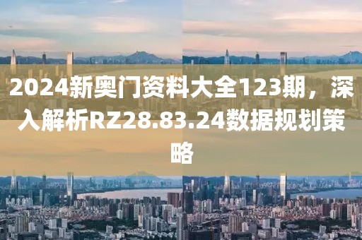 2024新奥门资料大全123期，深入解析RZ28.83.24数据规划策略