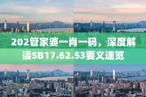 202管家婆一肖一码，深度解读SB17.62.53要义速览