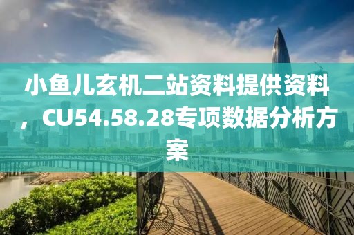 小鱼儿玄机二站资料提供资料，CU54.58.28专项数据分析方案