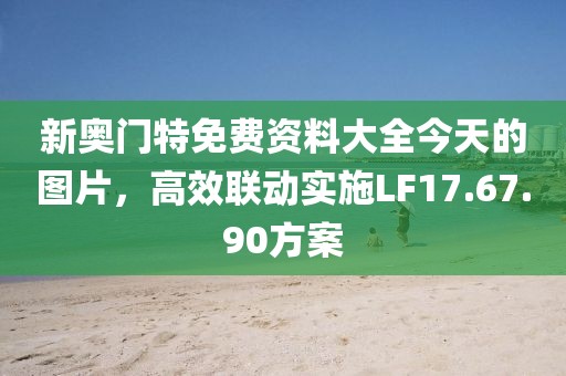 新奥门特免费资料大全今天的图片，高效联动实施LF17.67.90方案