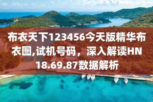 布衣天下123456今天版精华布衣图,试机号码，深入解读HN18.69.87数据解析