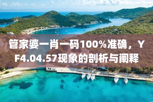 管家婆一肖一码100%准确，YF4.04.57现象的剖析与阐释