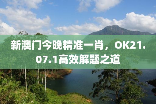 新澳门今晚精准一肖，OK21.07.1高效解题之道