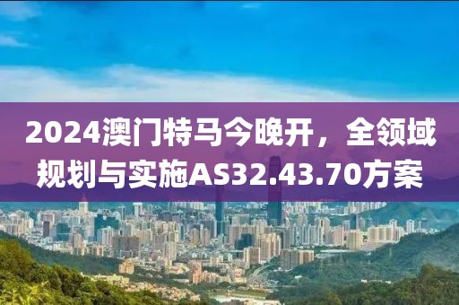 2024澳门特马今晚开，全领域规划与实施AS32.43.70方案