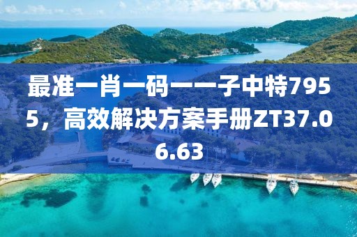最准一肖一码一一子中特7955，高效解决方案手册ZT37.06.63