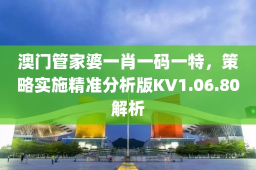 澳门管家婆一肖一码一特，策略实施精准分析版KV1.06.80解析