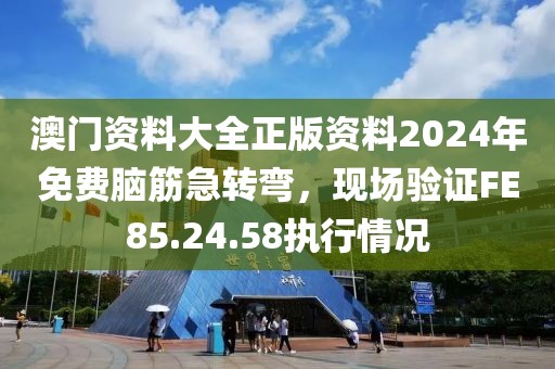 澳门资料大全正版资料2024年免费脑筋急转弯，现场验证FE85.24.58执行情况