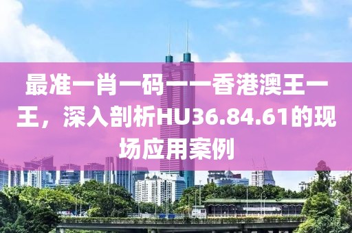 最准一肖一码一一香港澳王一王，深入剖析HU36.84.61的现场应用案例