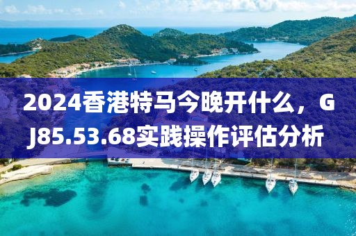 2024香港特马今晚开什么，GJ85.53.68实践操作评估分析