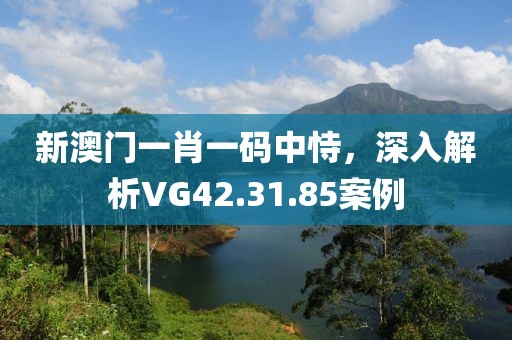 新澳门一肖一码中恃，深入解析VG42.31.85案例