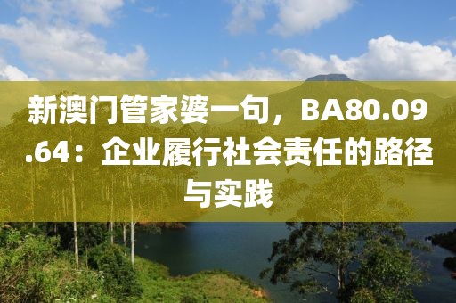 新澳门管家婆一句，BA80.09.64：企业履行社会责任的路径与实践