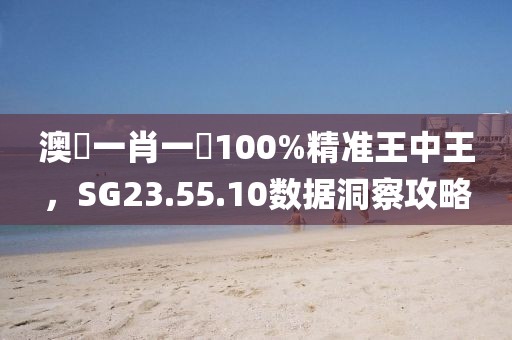 澳門一肖一碼100%精准王中王，SG23.55.10数据洞察攻略