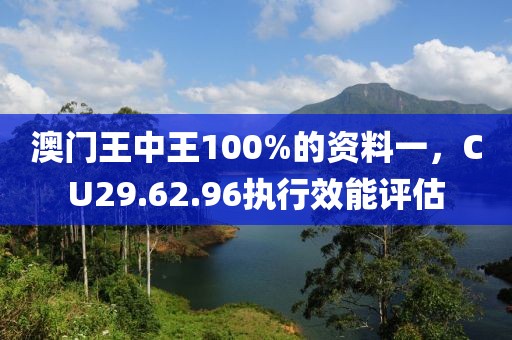 澳门王中王100%的资料一，CU29.62.96执行效能评估