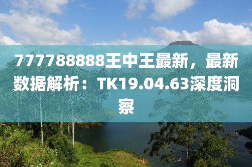 777788888王中王最新，最新数据解析：TK19.04.63深度洞察