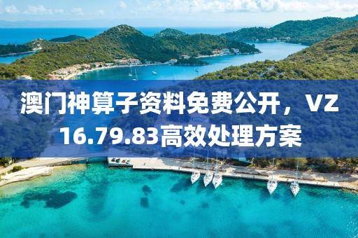 澳门神算子资料免费公开，VZ16.79.83高效处理方案