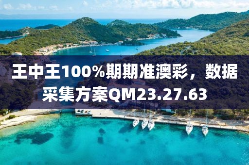 王中王100%期期准澳彩，数据采集方案QM23.27.63