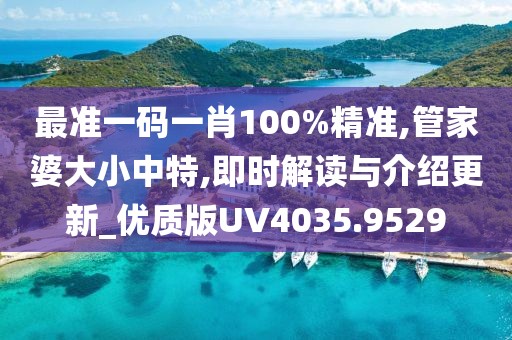 最准一码一肖100%精准,管家婆大小中特,即时解读与介绍更新_优质版UV4035.9529