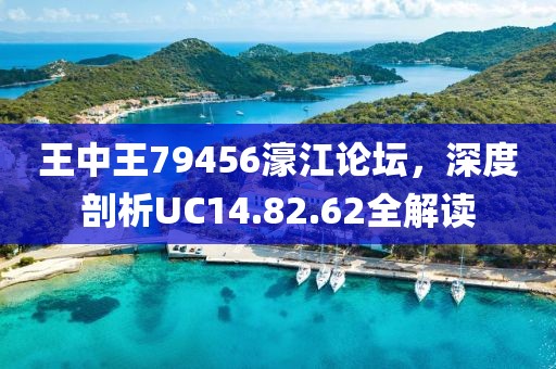 王中王79456濠江论坛，深度剖析UC14.82.62全解读