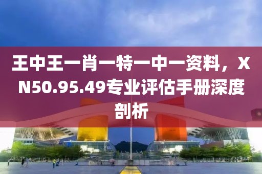 王中王一肖一特一中一资料，XN50.95.49专业评估手册深度剖析