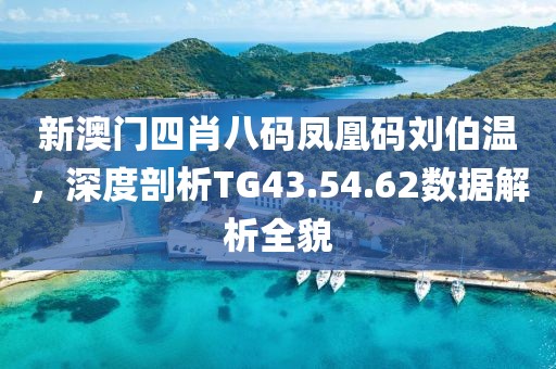 新澳门四肖八码凤凰码刘伯温，深度剖析TG43.54.62数据解析全貌