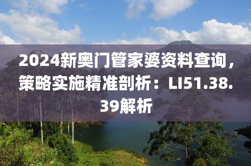 2024新奥门管家婆资料查询，策略实施精准剖析：LI51.38.39解析
