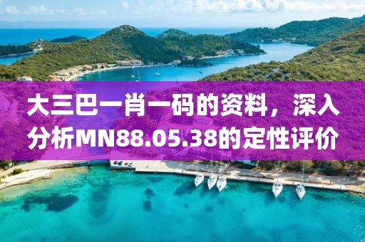 大三巴一肖一码的资料，深入分析MN88.05.38的定性评价