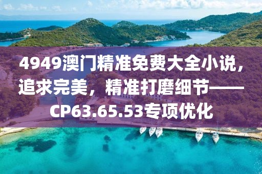 4949澳门精准免费大全小说，追求完美，精准打磨细节——CP63.65.53专项优化