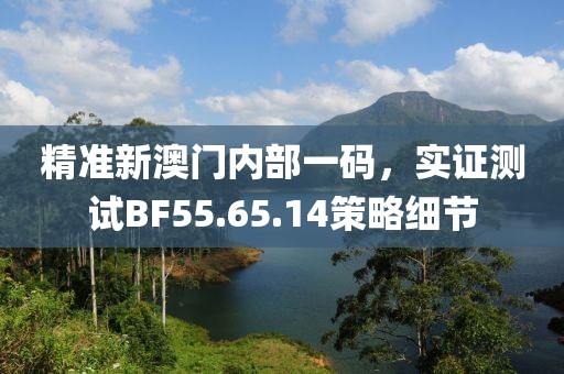 精准新澳门内部一码，实证测试BF55.65.14策略细节