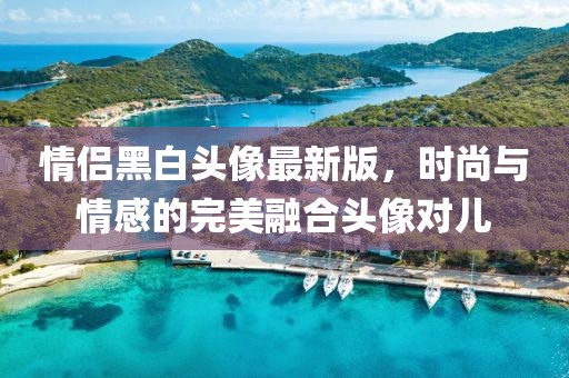 情侣黑白头像最新版，时尚与情感的完美融合头像对儿