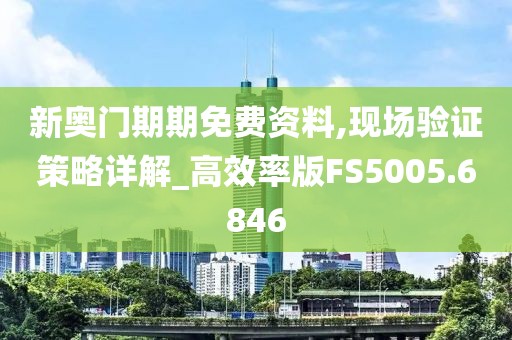 新奥门期期免费资料,现场验证策略详解_高效率版FS5005.6846