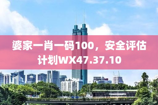婆家一肖一码100，安全评估计划WX47.37.10