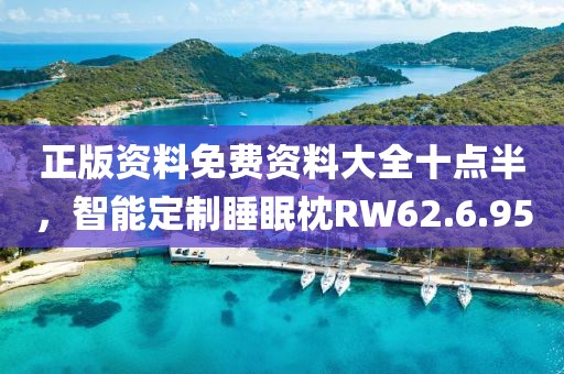 正版资料免费资料大全十点半，智能定制睡眠枕RW62.6.95