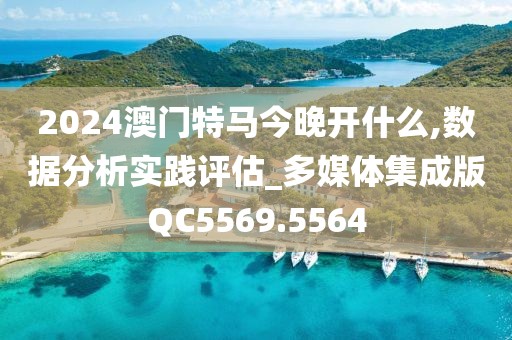 2024澳门特马今晚开什么,数据分析实践评估_多媒体集成版QC5569.5564