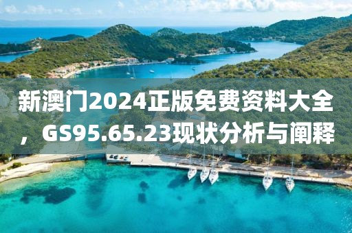 新澳门2024正版免费资料大全，GS95.65.23现状分析与阐释