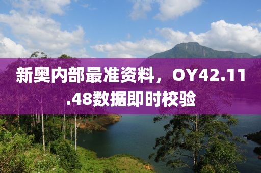 新奥内部最准资料，OY42.11.48数据即时校验