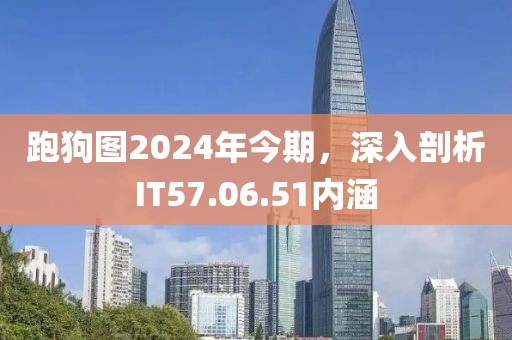 跑狗图2024年今期，深入剖析IT57.06.51内涵